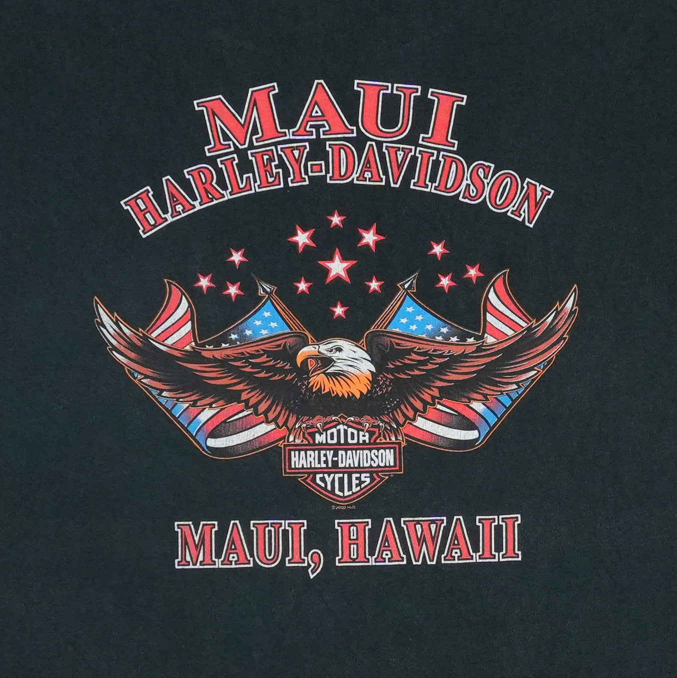 2000s Harley Davidson Maui Shirt