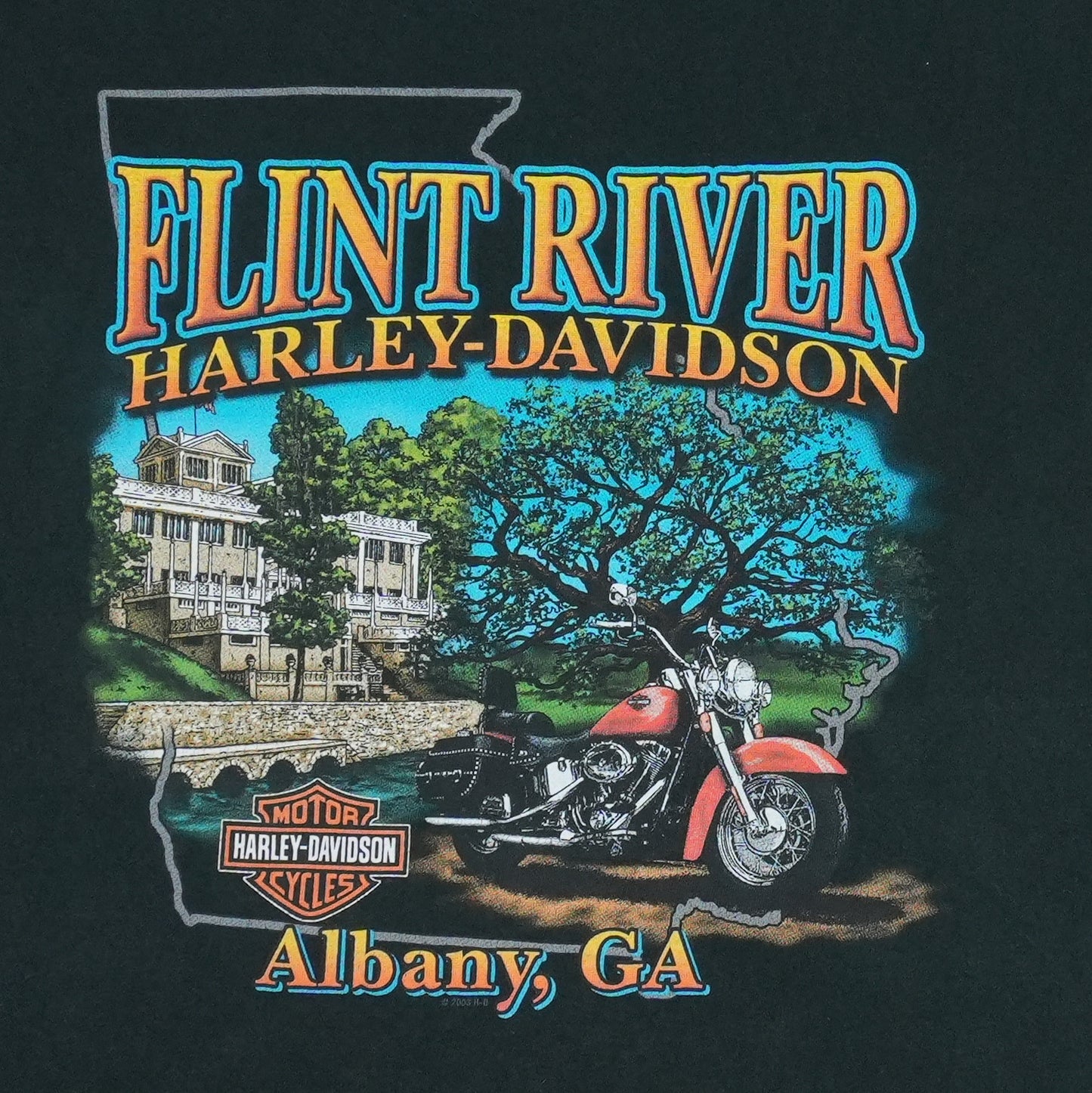 2005 Harley Davidson Georgia Shirt