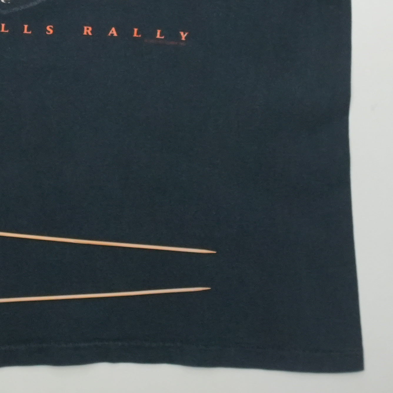 1993 Harley Davidson Sturgis Black Hills Shirt Back Detail 2