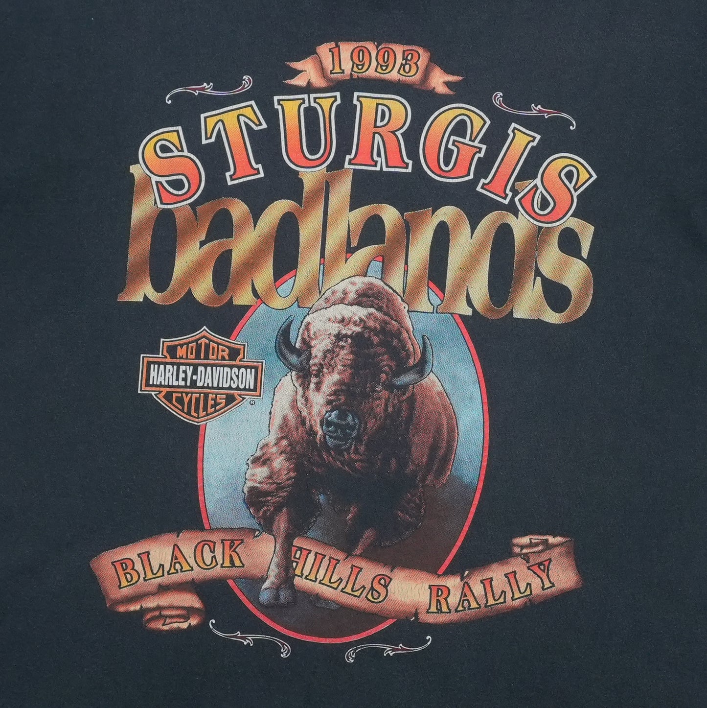 1993 Harley Davidson Sturgis Black Hills Shirt Front Detail 1