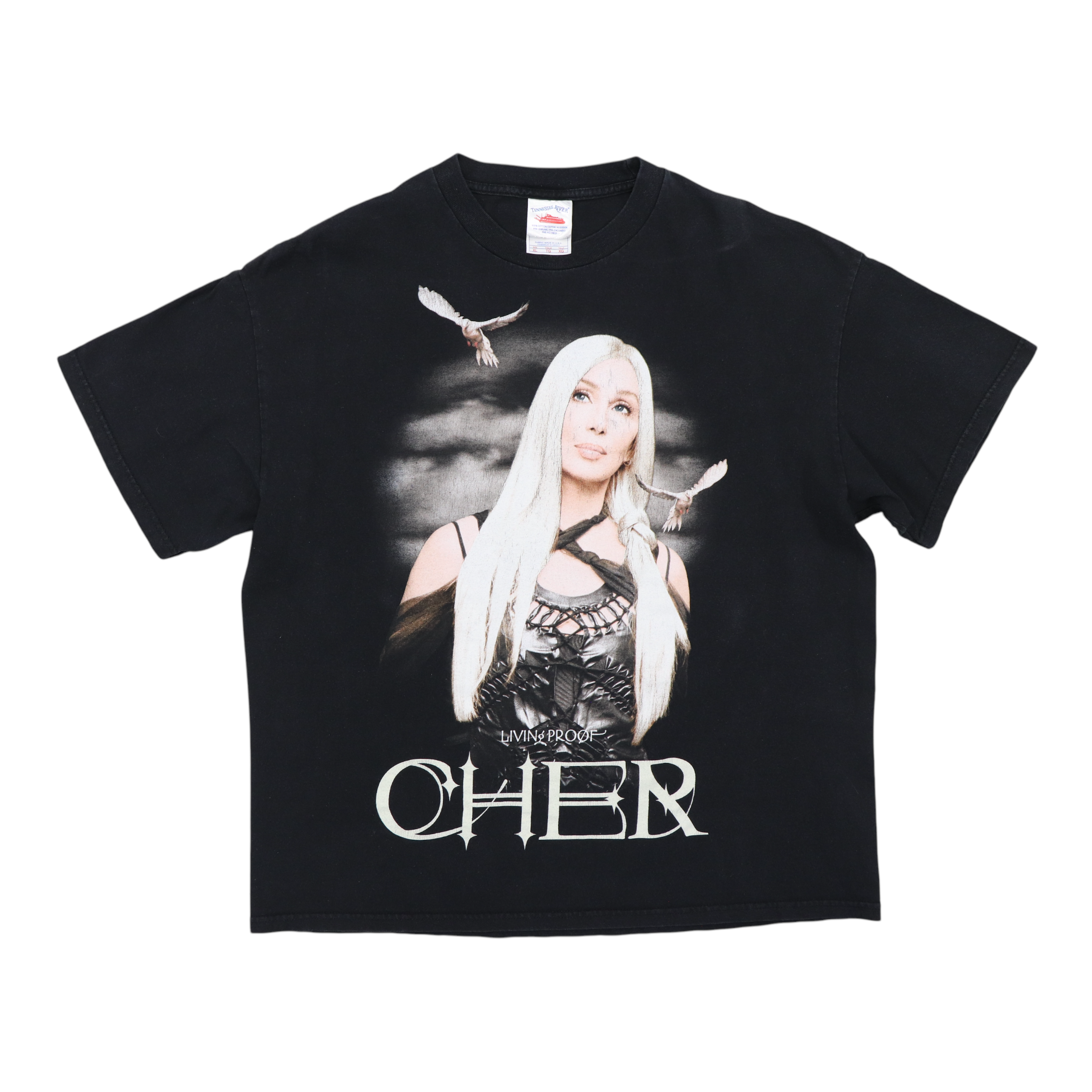 激レア当時物 CHER LIVIN' PROOF Tシャツ ヴィンテージ XL 2003 Cher Living Proof Tour Shirt | Authentic Vintage Tee – WyCo
