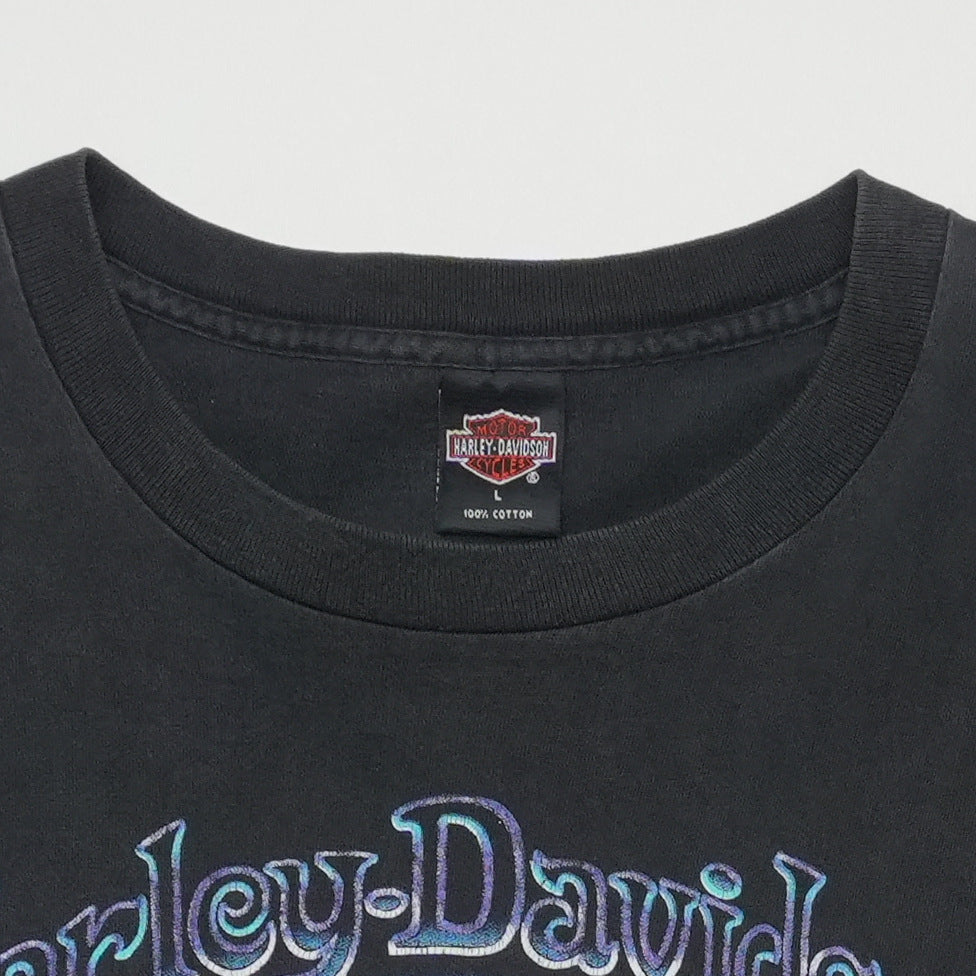 1990s Harley Davidson Englewood Colorado Wild At Heart Shirt Front Detail 2