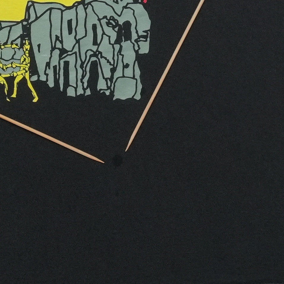 1994 Smashing Pumpkins Shirt Detail 1