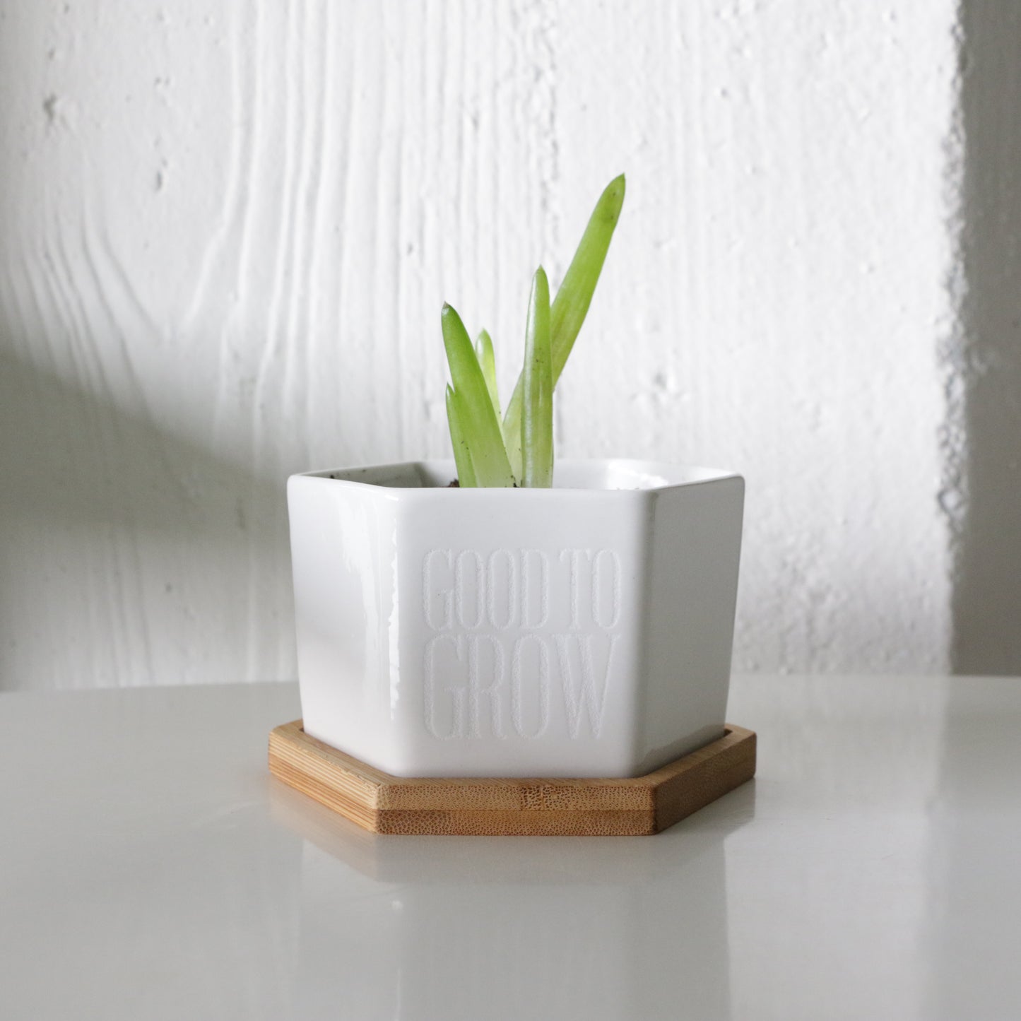 Good To Grow Timeless x WyCo Vintage Planter