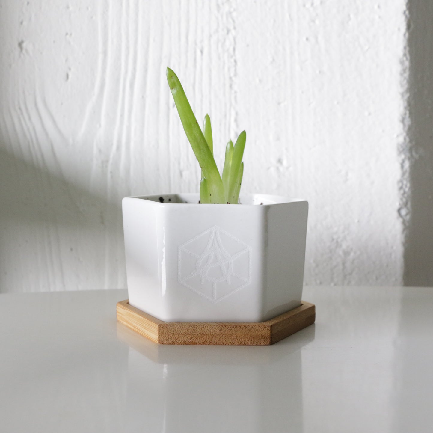Good To Grow Timeless x WyCo Vintage Planter