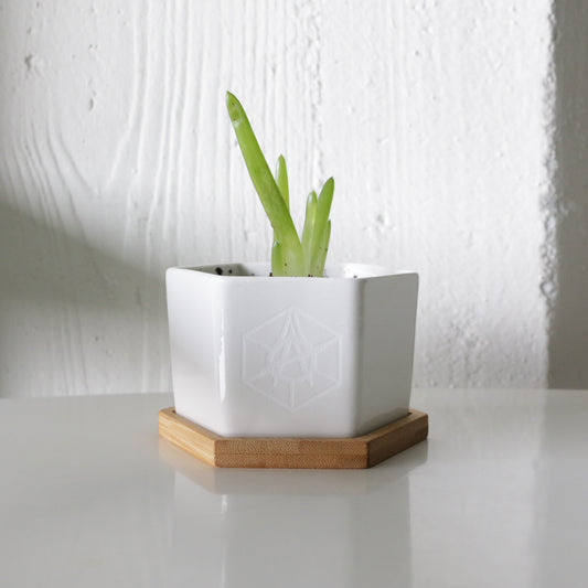 Good To Grow Timeless x WyCo Vintage Planter Back