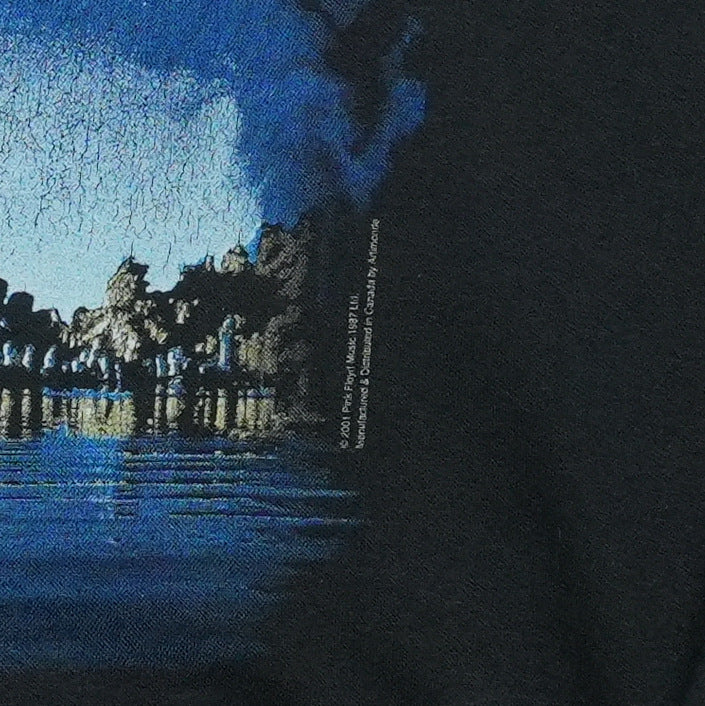 2001 Pink Floyd Wish You Were Here Hoodie Front Detail 2