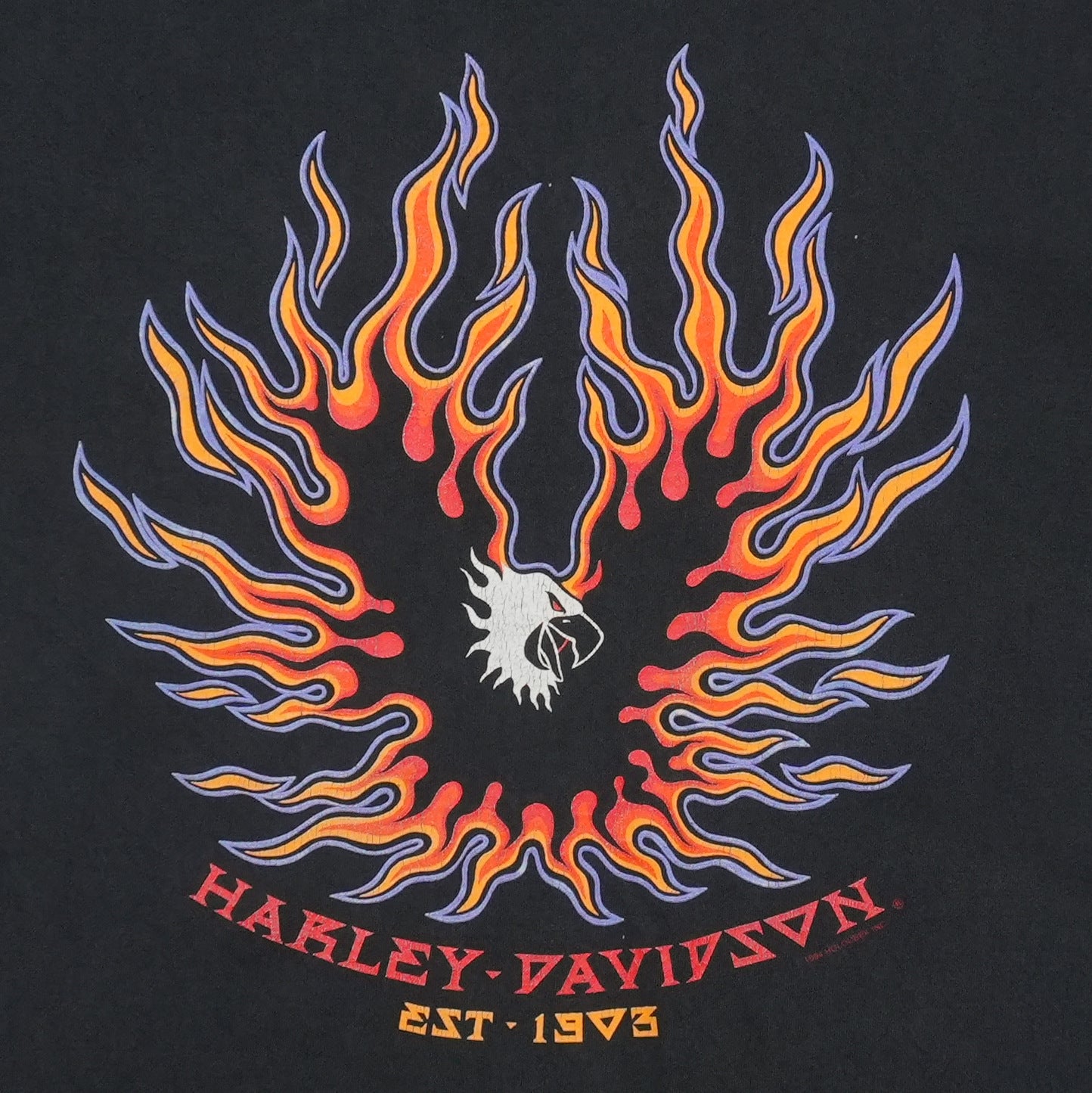 1990s Harley Davidson Gastonia North Carolina Shirt