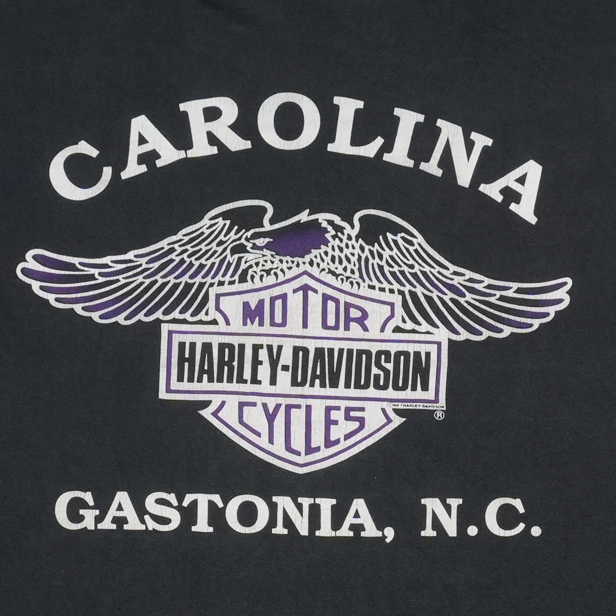 1990s Harley Davidson Gastonia North Carolina Shirt
