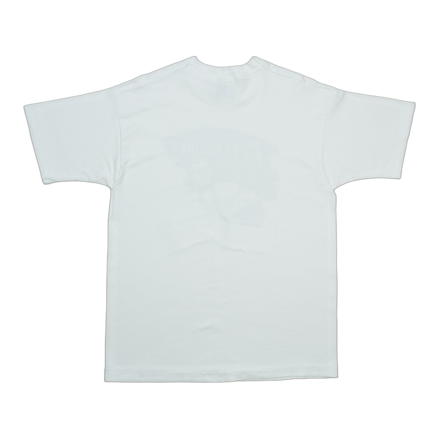 1990s Fleshtones Shirt Back