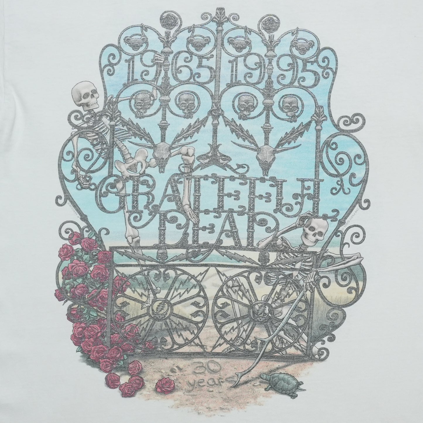 1995 Grateful Dead 30th Anniversary Shirt Back Graphic