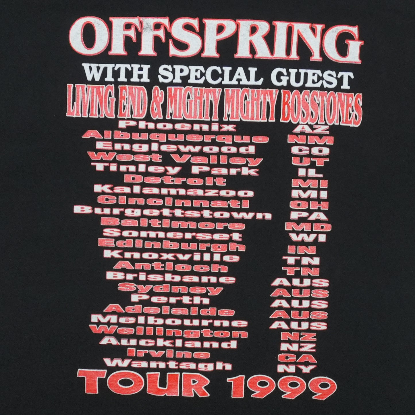 1999 Offspring Pretty Fly For A White Guy Tour Shirt Back Detail 2