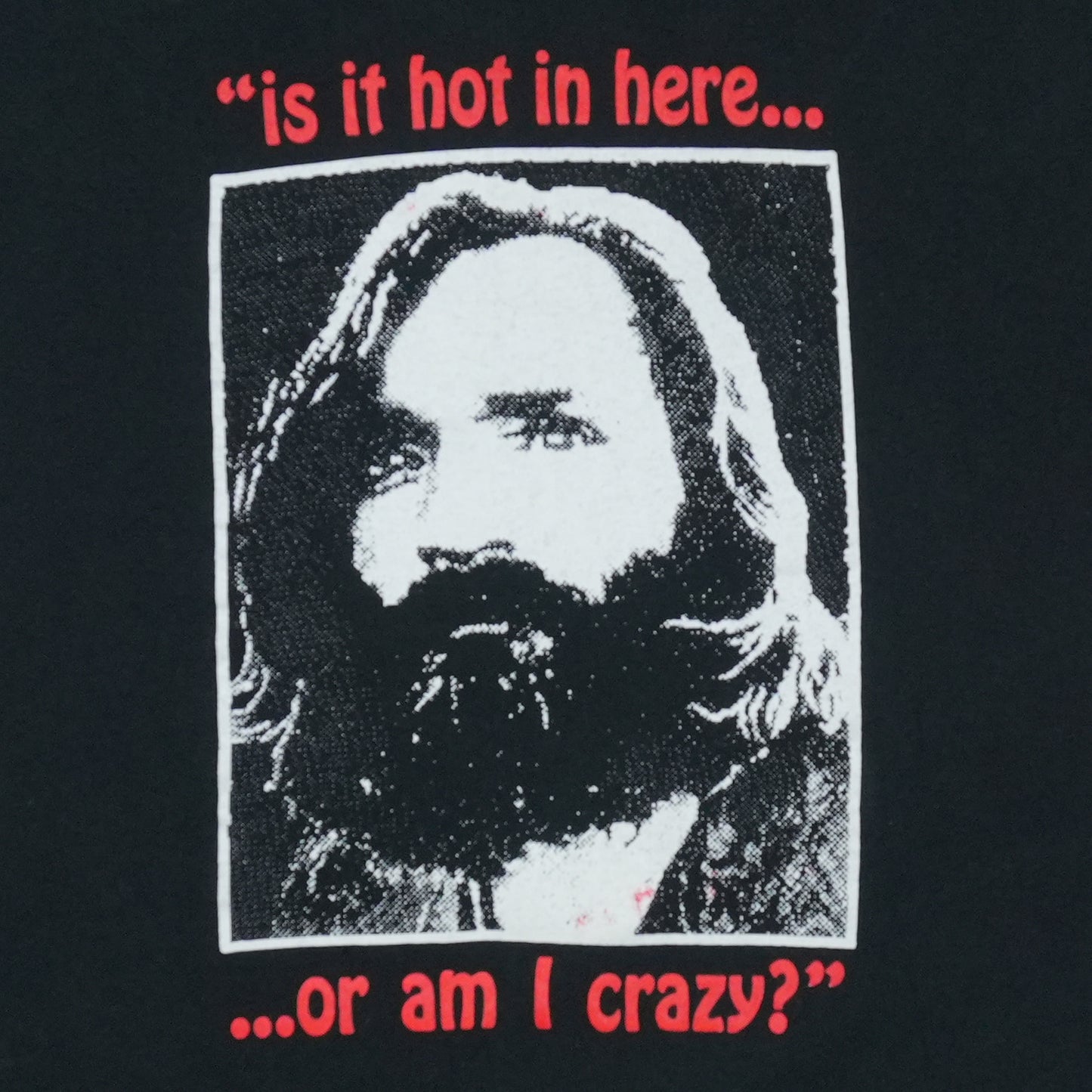 1990s Charles Manson Is It Hot In Here Shirt Detail 2
