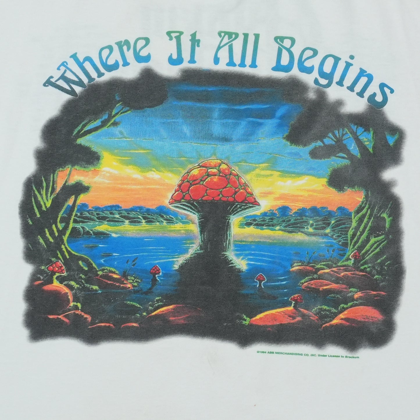 1994 Allman Brothers Band Where It All Begins Tour Shirt Detail 2