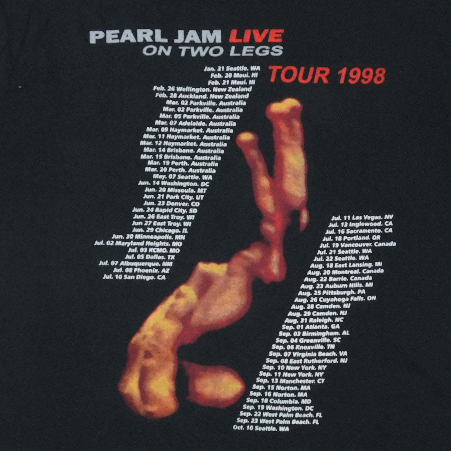 1998 Pearl Jam Live On Two Legs Tour Shirt Detail 4