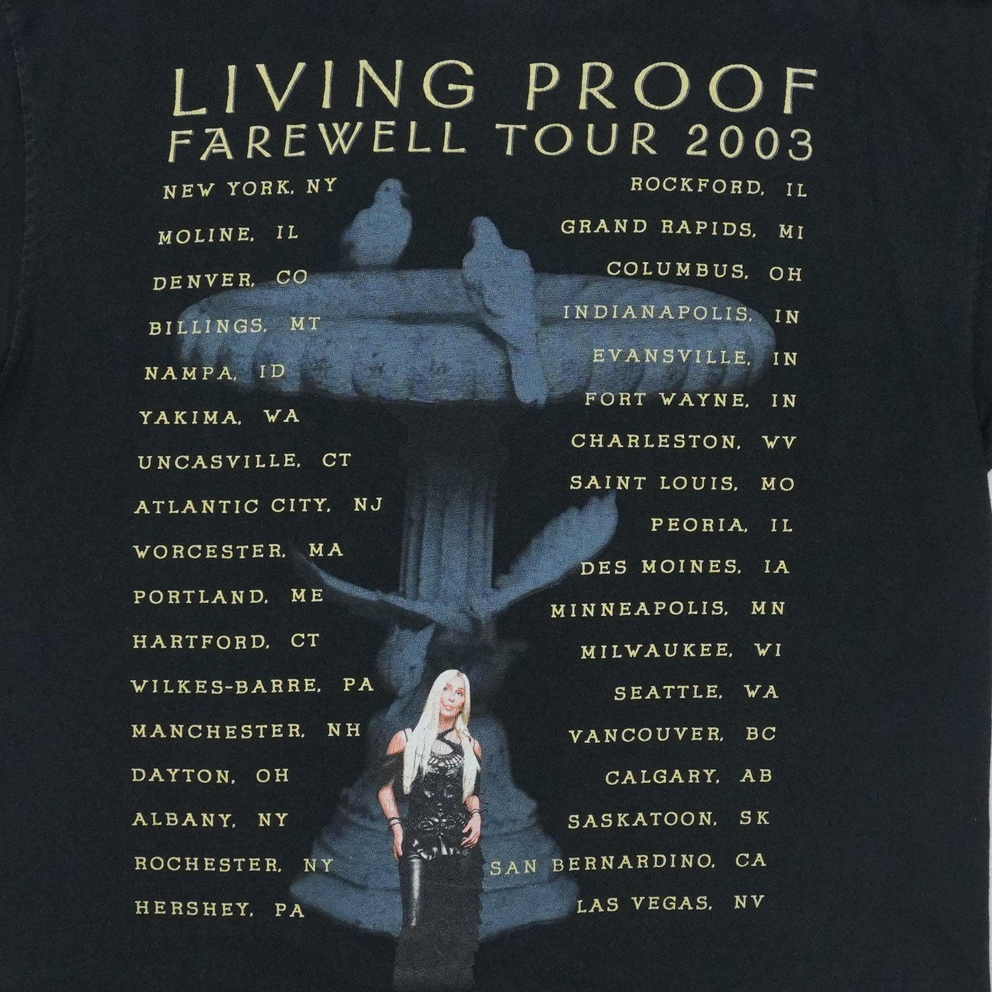 2003 Cher Living Proof Farewell Tour Shirt Detail 4