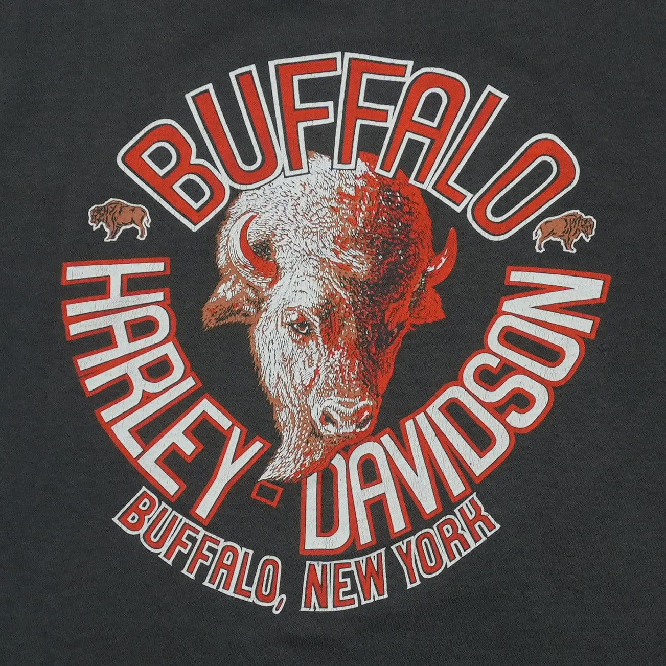 1989 Harley Davidson Last Biker On Earth 3D Emblem ShirtBack Graphic