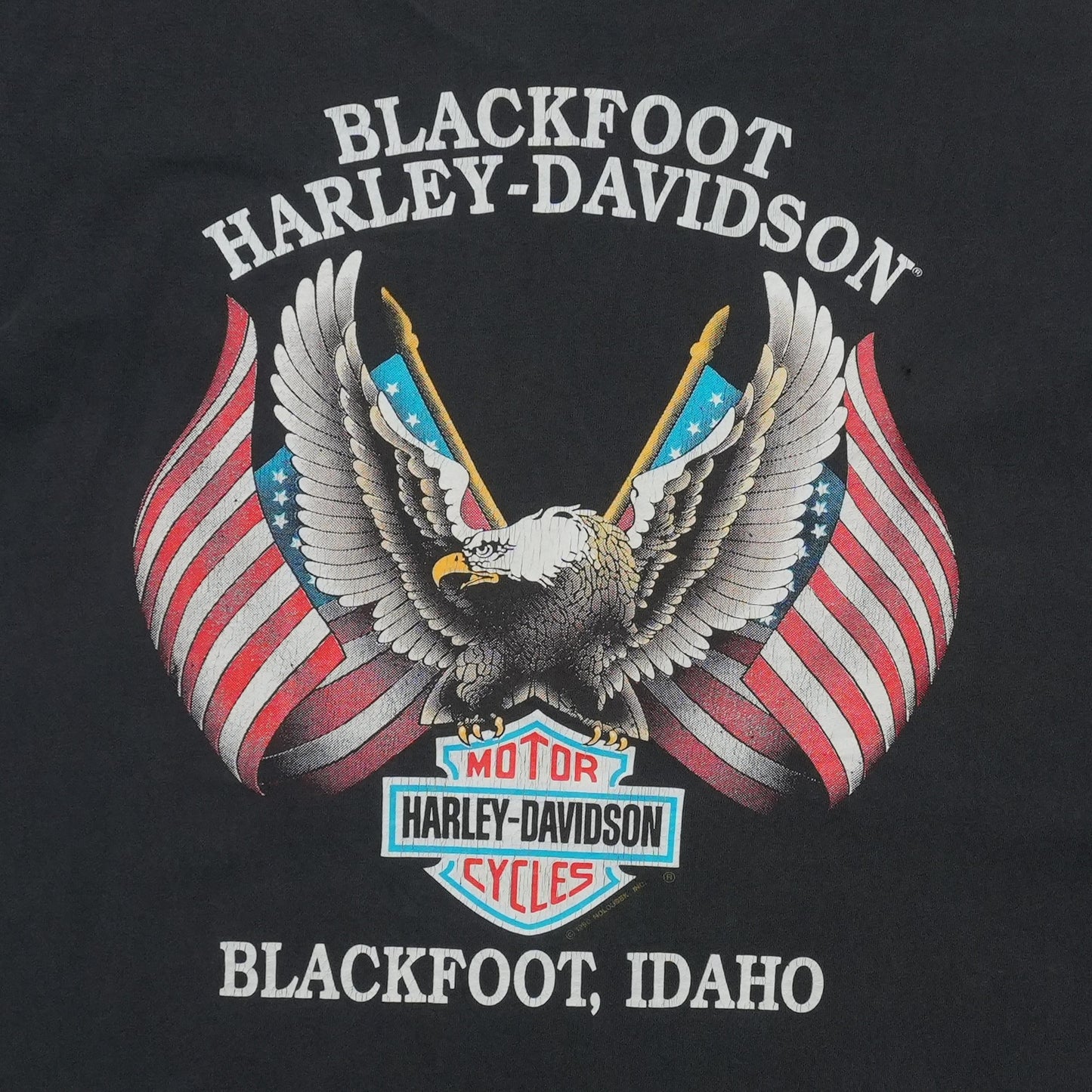1994 Harley Davidson Against the Wind Eagle ShirtBack Graphic