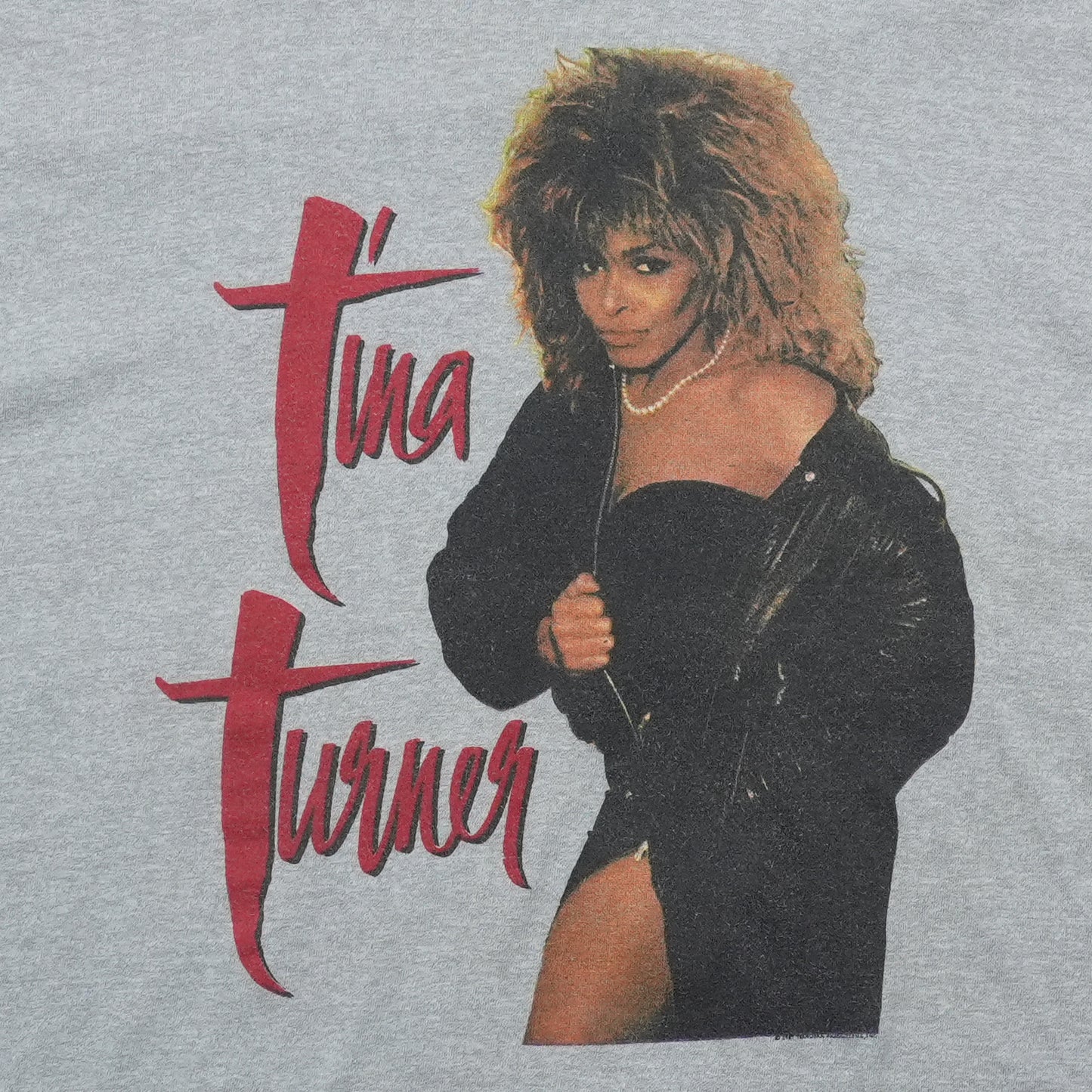 1987 Tina Turner Break Every Rule World Tour Shirt Detail