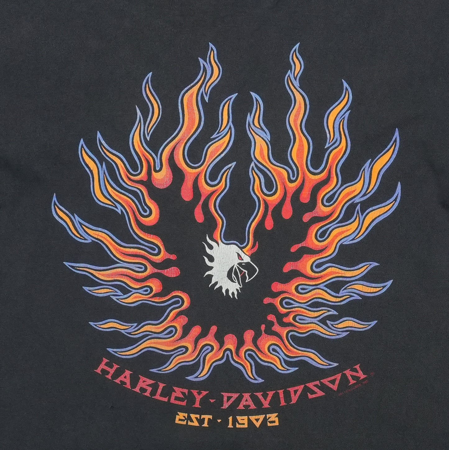 1994 Harley Davidson Billings Montana Shirt Front Detail 1
