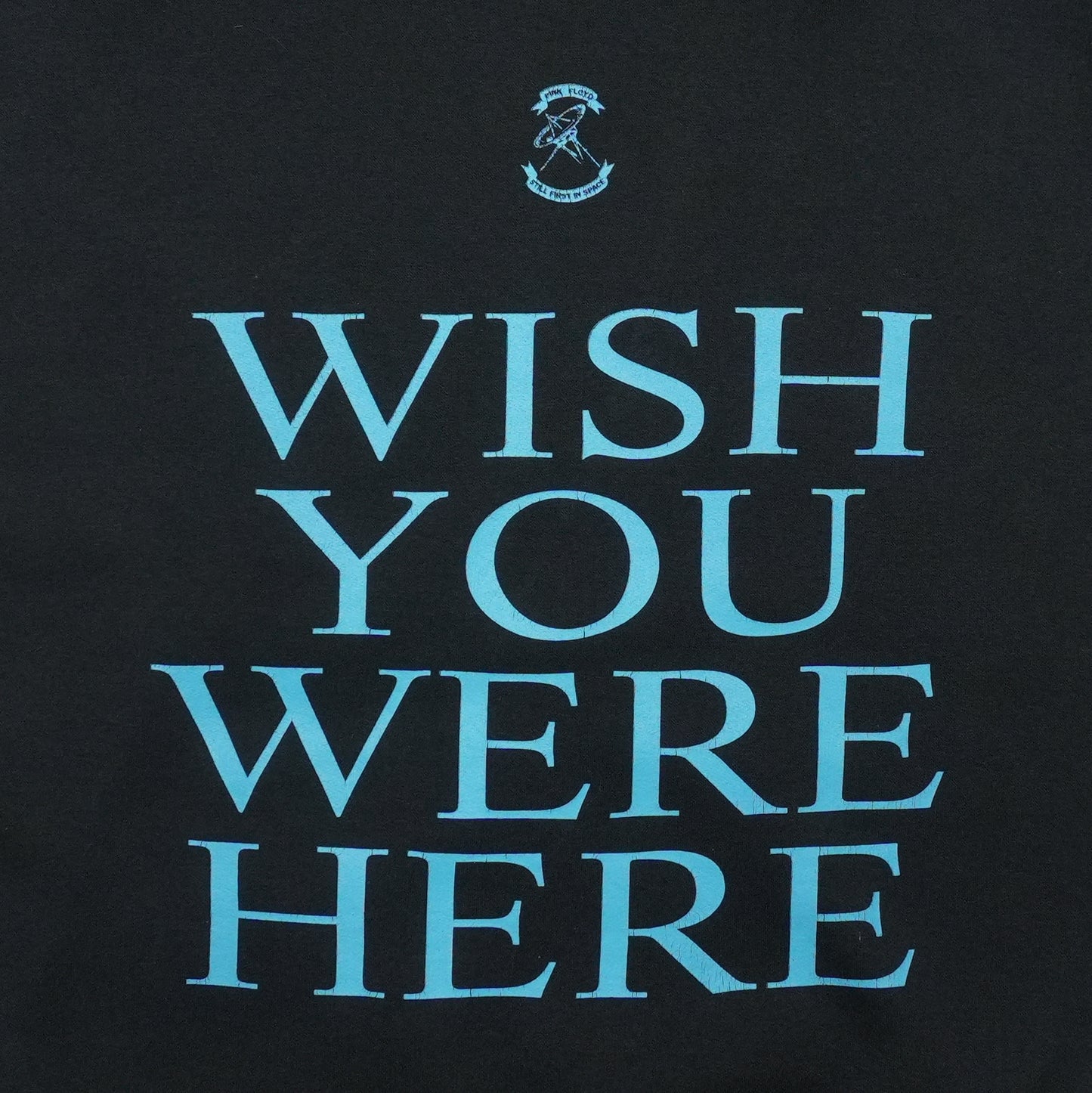 2001 Pink Floyd Wish You Were Here Hoodie Back Detail 1