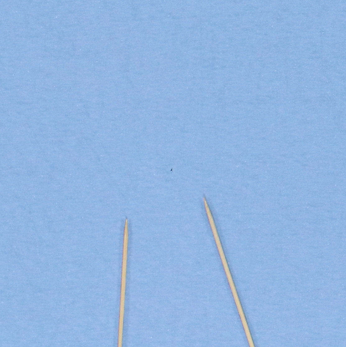 1980 Moon Cycle Owl Shirt