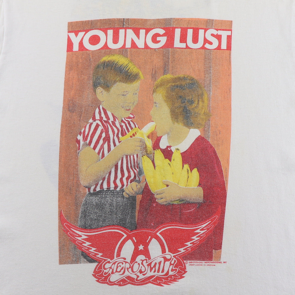 1989 Aerosmith Young Lust Pump Shirt