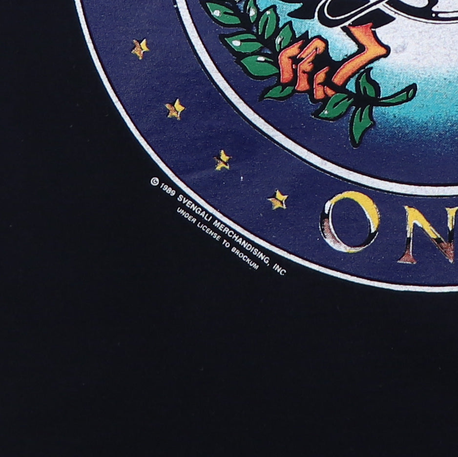 1989 Aerosmith Pump Tour Shirt