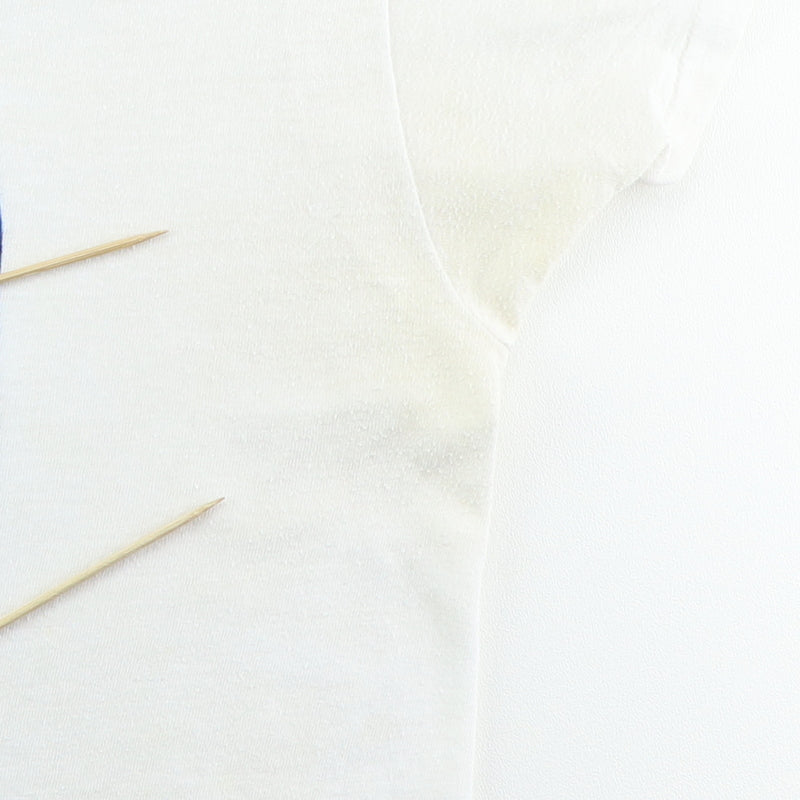 1970s Lynyrd Skynyrd Shirt