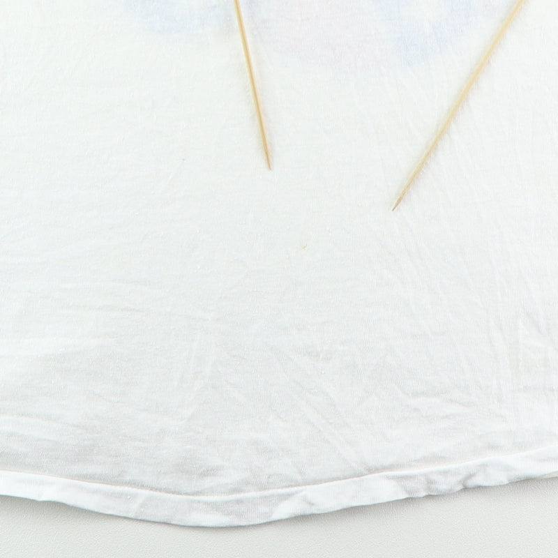 1970s Lynyrd Skynyrd Shirt