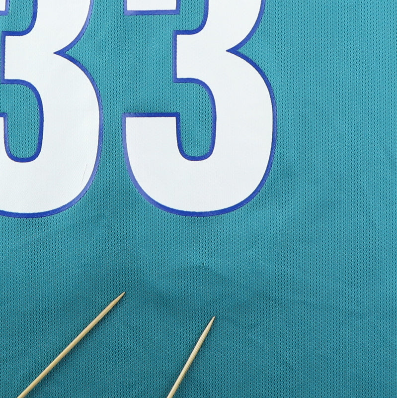 1990s Alonzo Mourning Charlotte Hornets Basketball Jersey