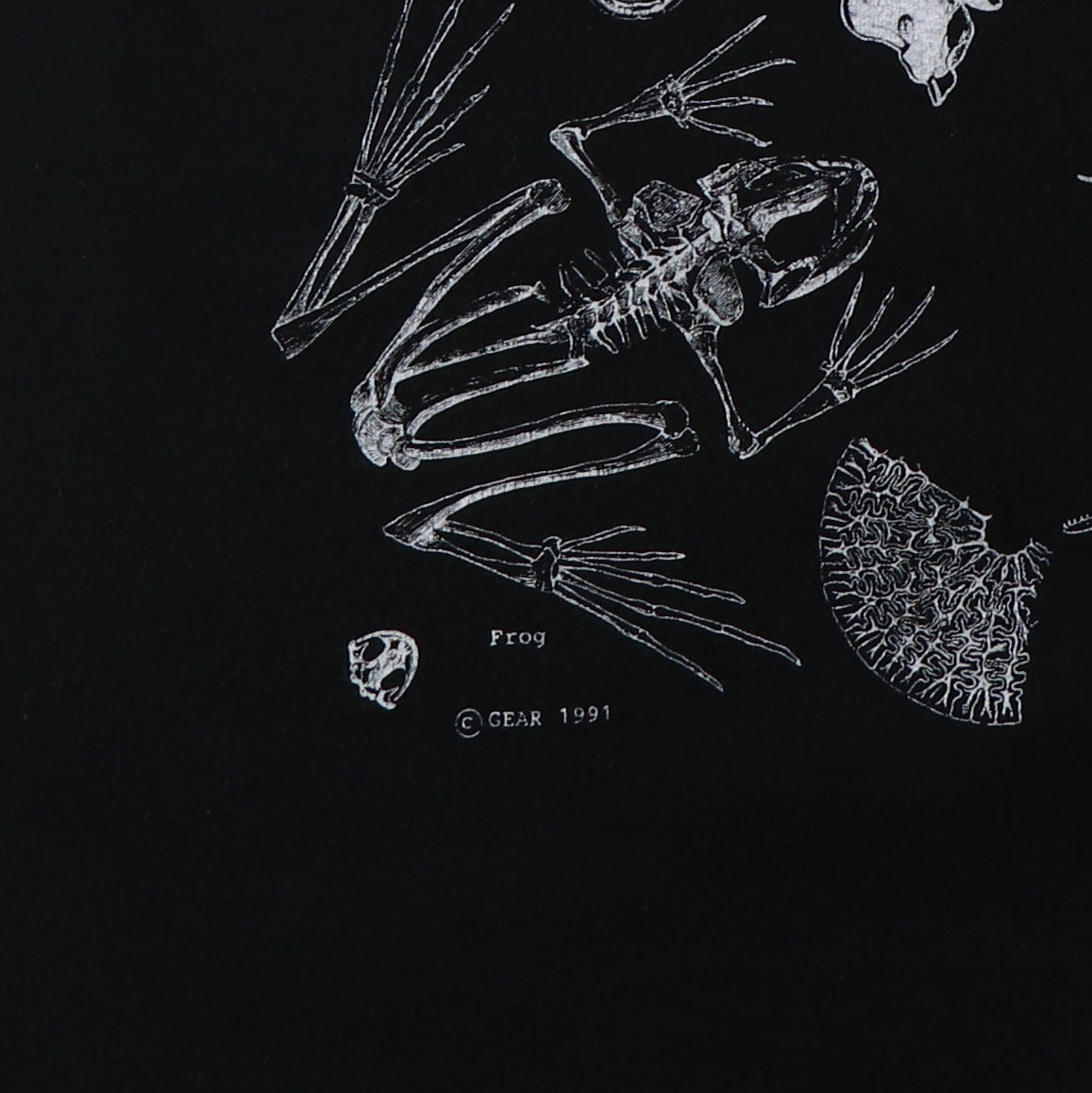 1990s Skeleton Skeletal Anatomy Shirt