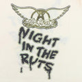 1970s Aerosmith Night In The Ruts Right In The Nuts Jersey Shirt