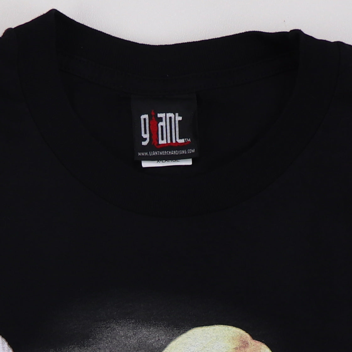 2002 Cher Living Proof Tour Shirt