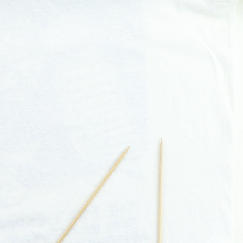 1989 Mr. Tee Experience Big Black Bug Tour Shirt