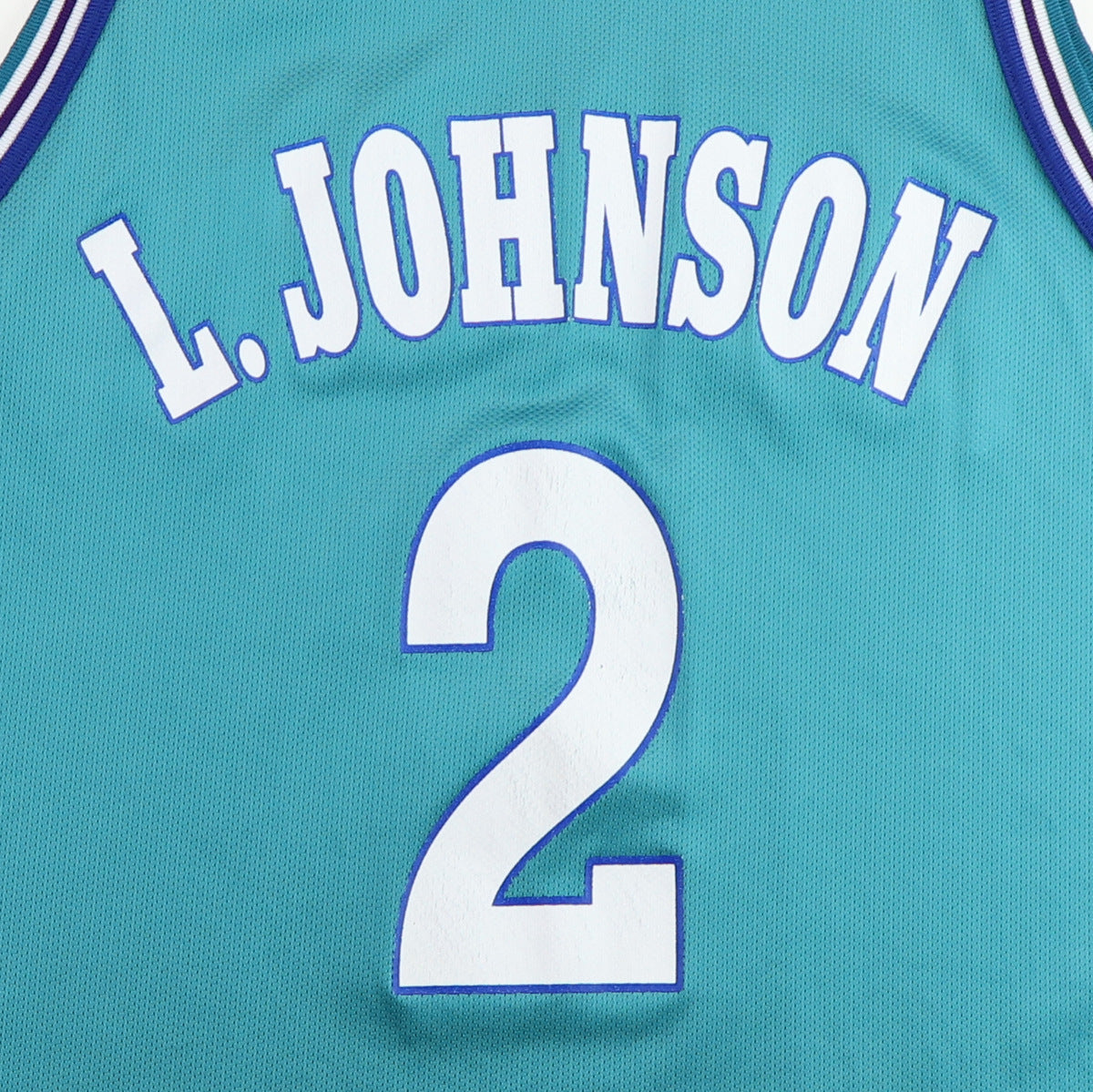 1990s Larry Johnson Charlotte Hornets Basketball Jersey