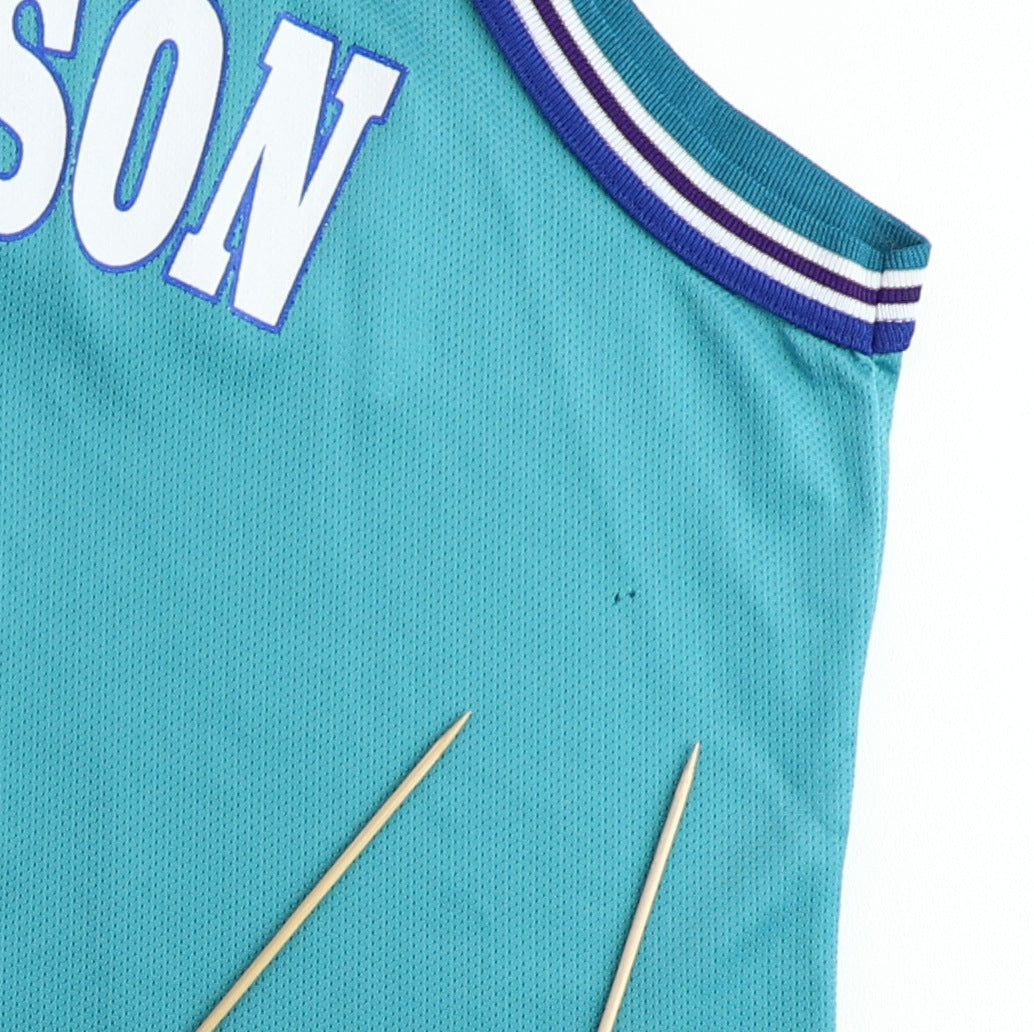 1990s Larry Johnson Charlotte Hornets Basketball Jersey