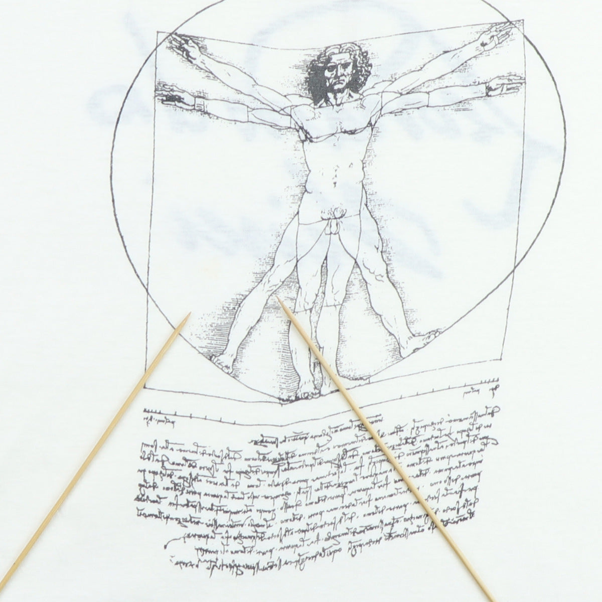 1970s Leonardo Da Vinci Shirt