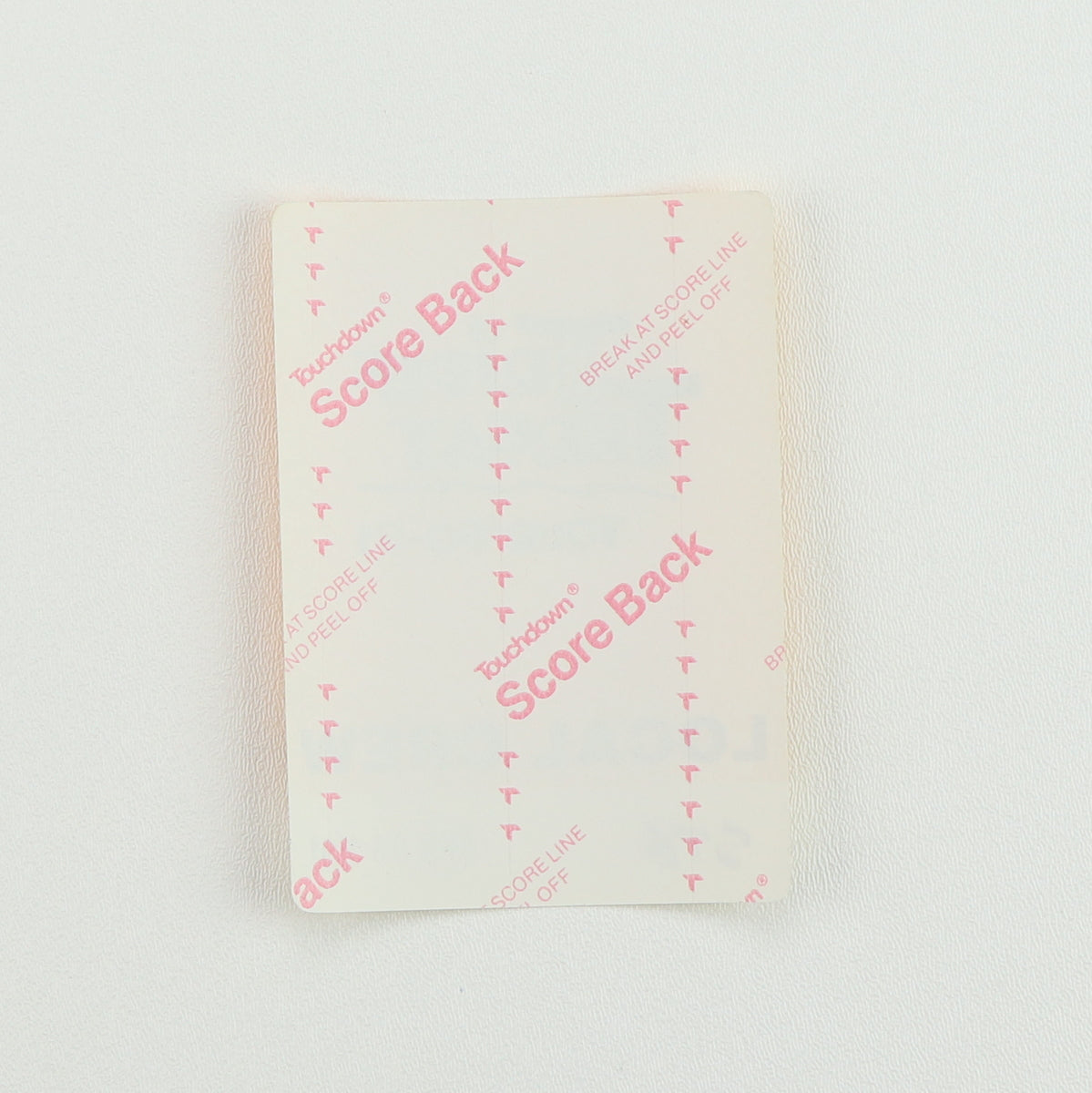 1991 Triple Threat Tour Local Crew Backstage Pass