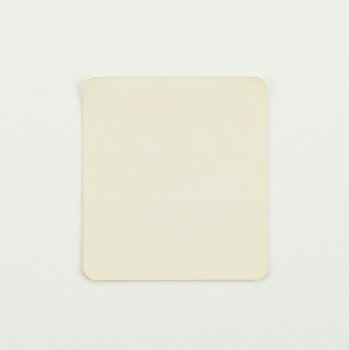 1981 Bruce Springsteen Summer Tour Aftershow Backstage Pass