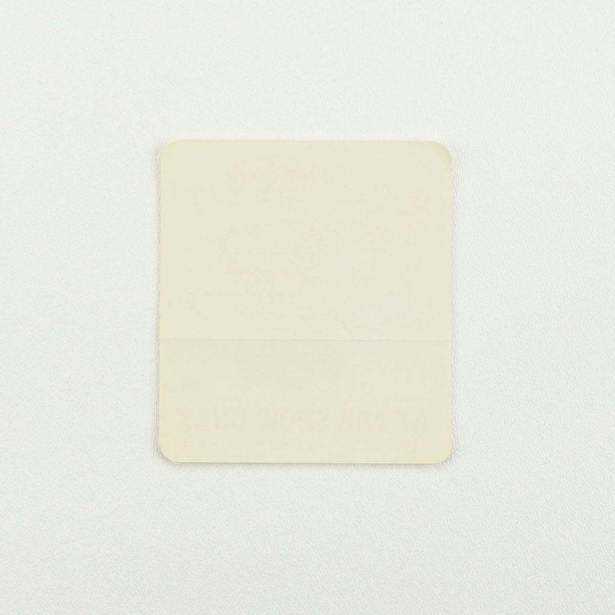 1981 Bruce Springsteen Summer Tour Aftershow Backstage Pass