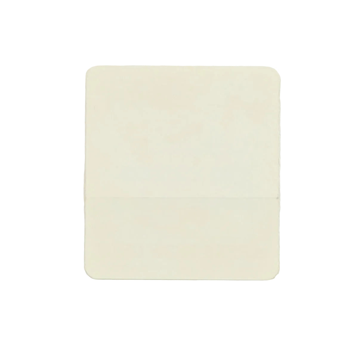 1981 Bruce Springsteen Summer Tour Aftershow Backstage Pass