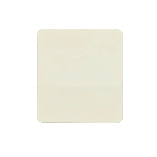 1981 Bruce Springsteen Summer Tour Aftershow Backstage Pass