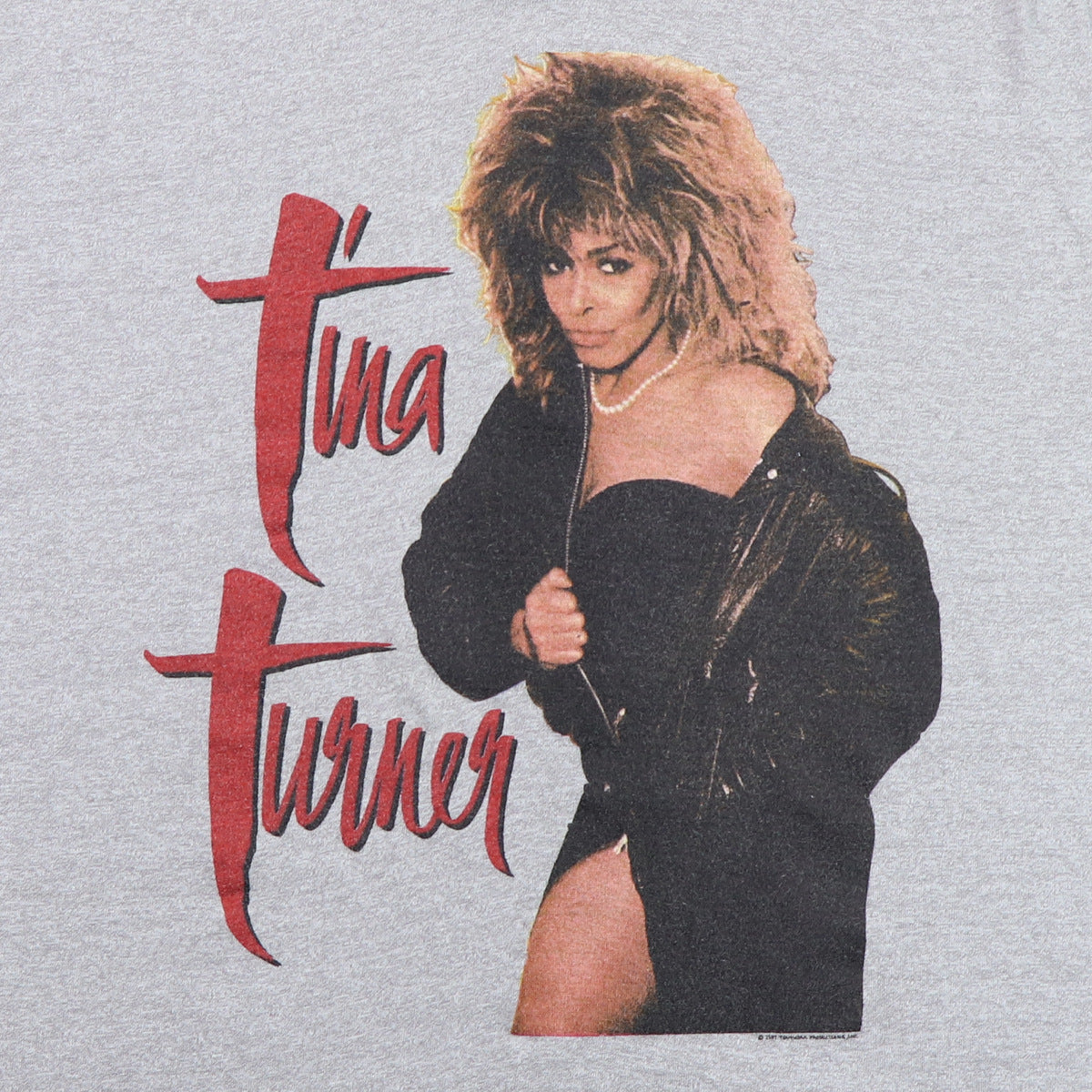 1987 Tina Turner Break Every Rule Tour Shirt