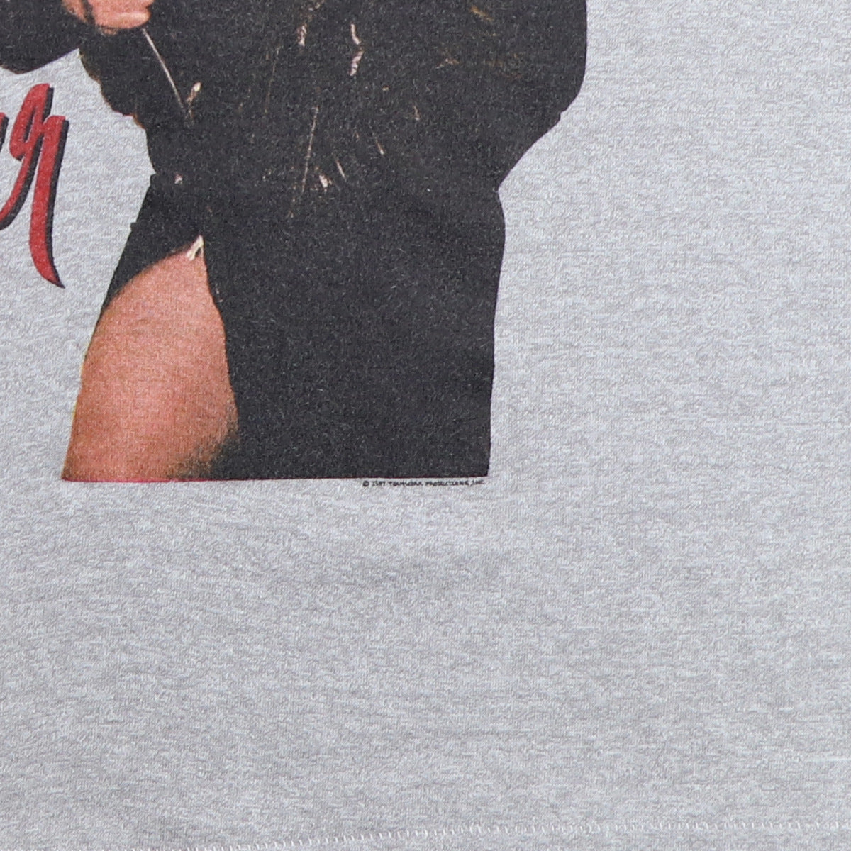 1987 Tina Turner Break Every Rule Tour Shirt