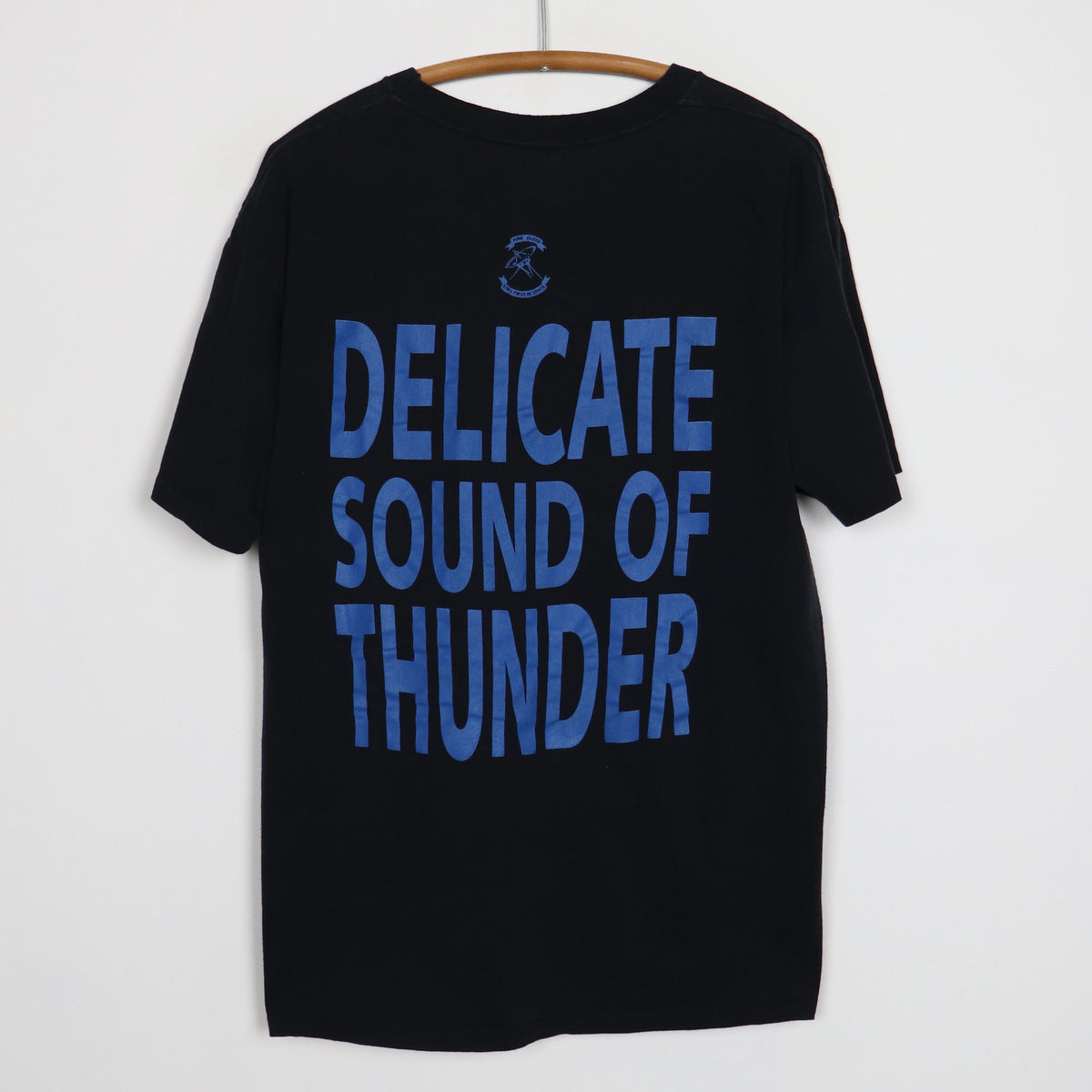 1992 Pink Floyd Delicate Sound Of Thunder Shirt