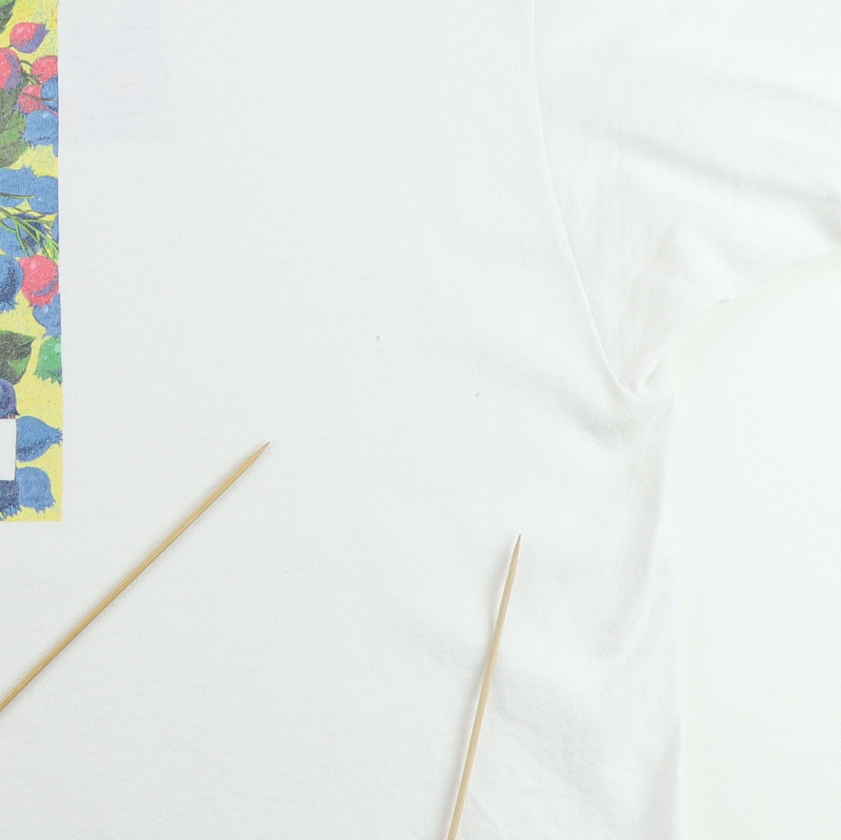 1992 Ten Thousand Maniacs Our Time In Eden Spring Tour Shirt