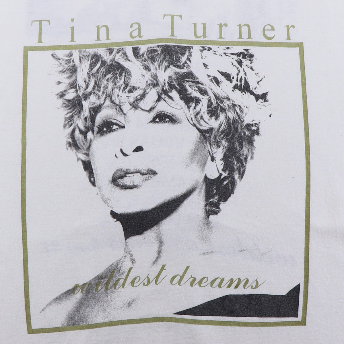 1997 Tina Turner Wildest Dreams Tour Shirt