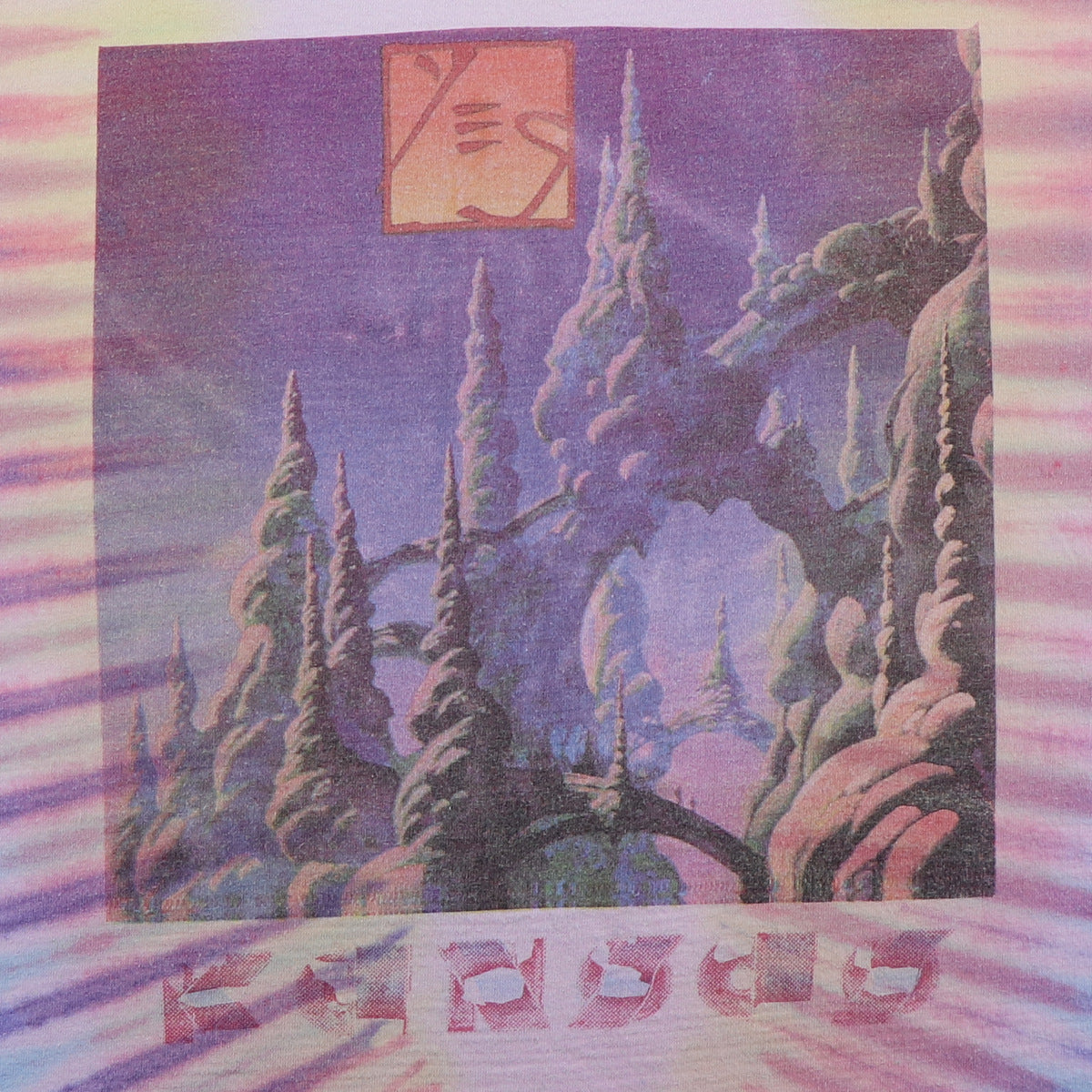 2000 Kansas Tour Tie Dye Shirt