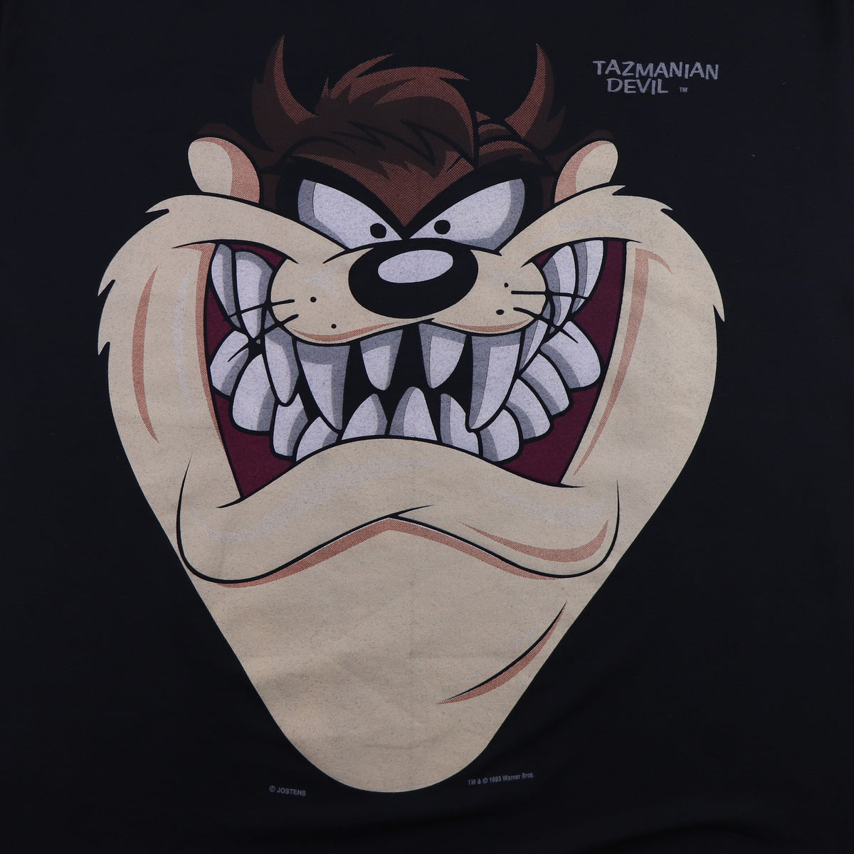 1993 Taz Tazmanian Devil Warner Brothers Shirt